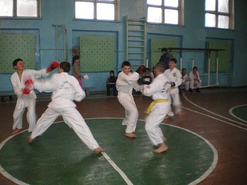 Examenul la TaeKwon-Do la Lăpușna (Ionel Rotaru, 18 Februarie 2010)