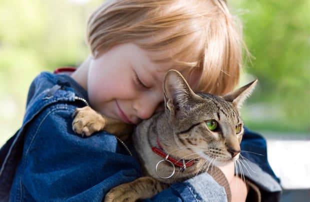 child_hugging_cat.jpg