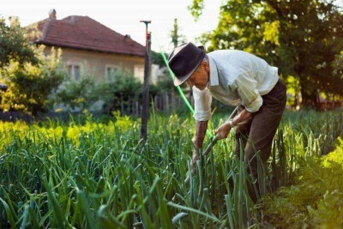 Bunelul lucrează duminica