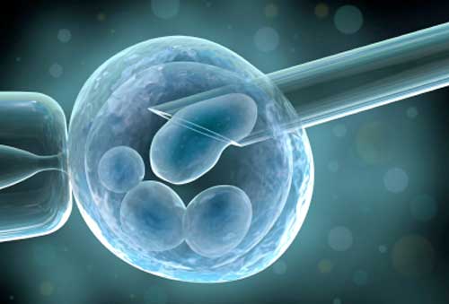 in-vitro-fertilization.jpg