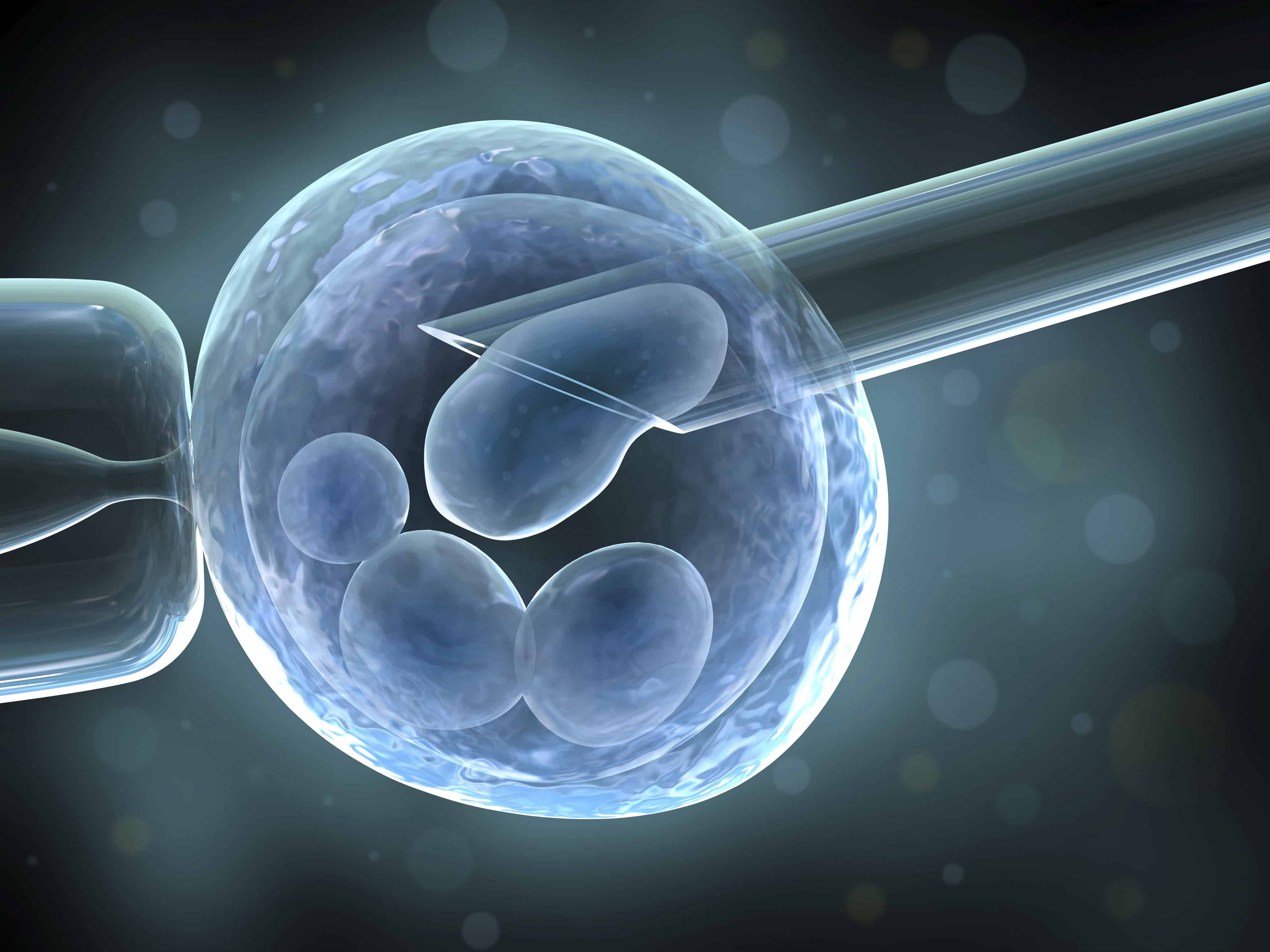 Бесплодие ученые. Хетчинг эмбрионов. Эко экстракорпоральное оплодотворение. Хэтчинг эмбриона что это. Вспомогательный хетчинг.